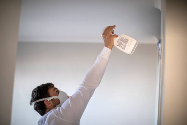 Best Mold Remediation  in Whitesboro, NJ