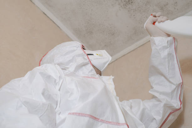 Best Black Mold Removal  in Whitesboro, NJ