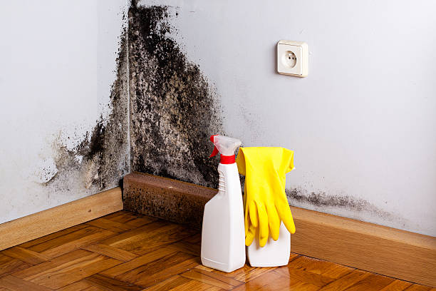 Best Residential Mold Removal  in Whitesboro, NJ
