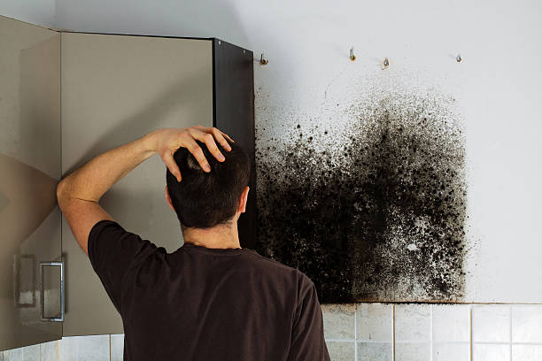 Best Fast Mold Removal  in Whitesboro, NJ